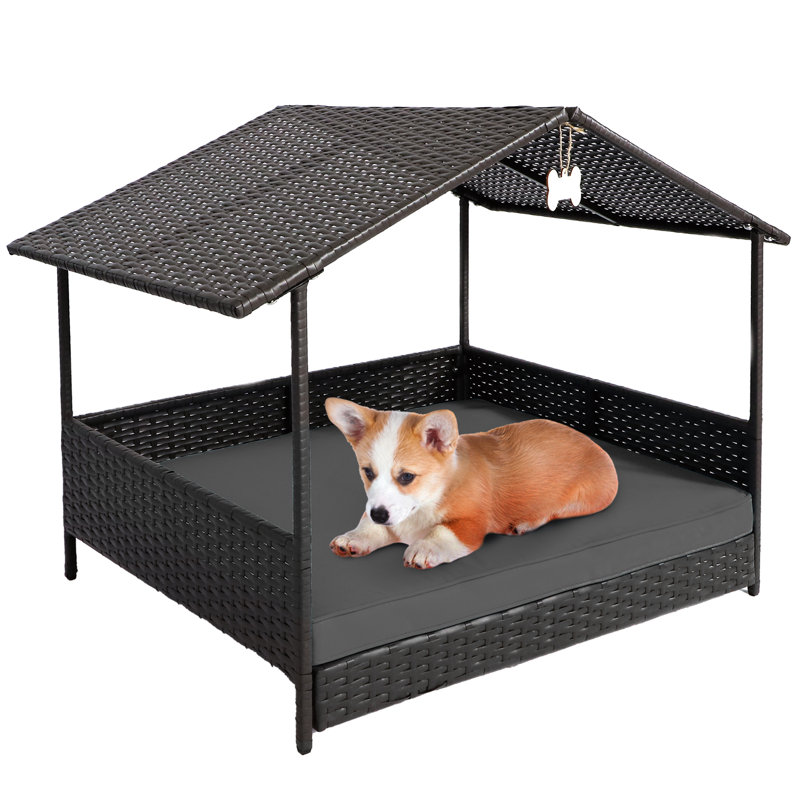 Dog house sofa best sale